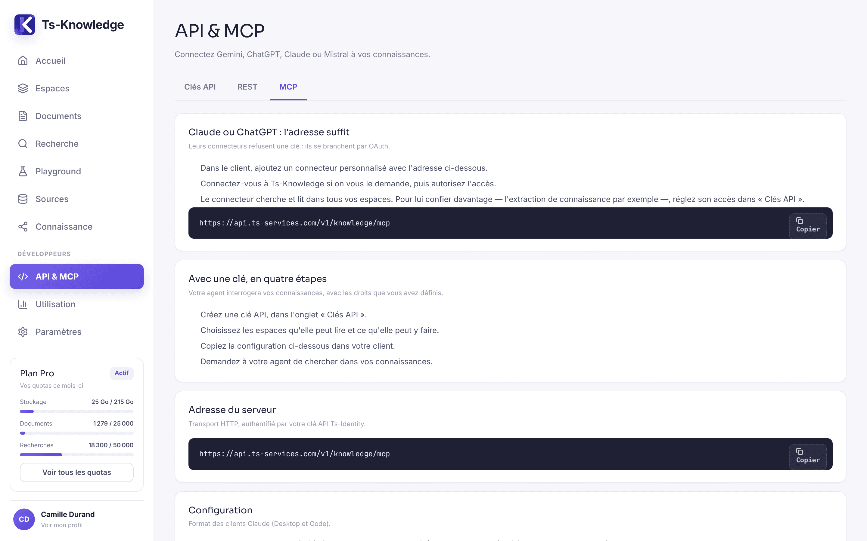 API & MCP screen: the MCP server URL and the configuration to copy into your AI client.